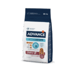 Advance Medium Senior
