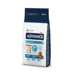 Advance Medium adult