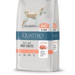 QUATTRO Extra Salmon sausas visų veislių suaugusių šunų pašaras su lašiša