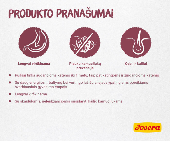 Josera Kitten sausas kačių maistas