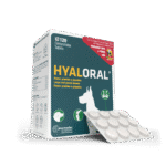 Hyaloral Giant N120 papildai šunims sąnarių veiklai