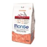 Monge Monoprotein Line Mini Adult Salmon sausas maistas mažų veislių šunims