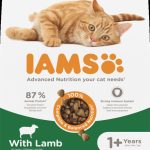 IAMS sausas pašaras suaugusioms katėms su ėriena 10kg