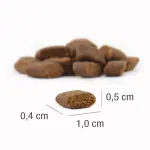 Platinum Puppy Mini sausas pašaras mažų veislių jauniems šuniukams su vištiena 900 g