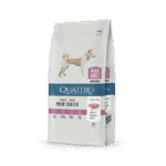 QUATTRO Maxi Lamb sausas didelių veislių šunų pašaras su ėriena 12 kg
