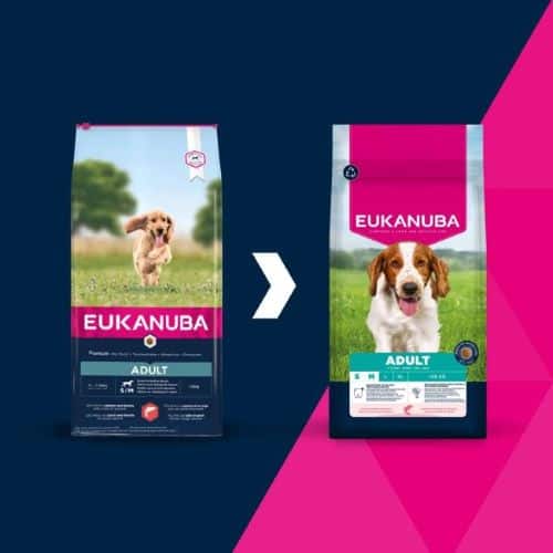 Eukanuba Base sausas maistas mažų ir vidutinių veislių šunims su lašiša ir miežiais