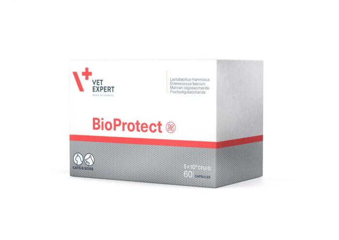 VetExpert Bioprotect 200mg šunims ir katėms 60kaps.