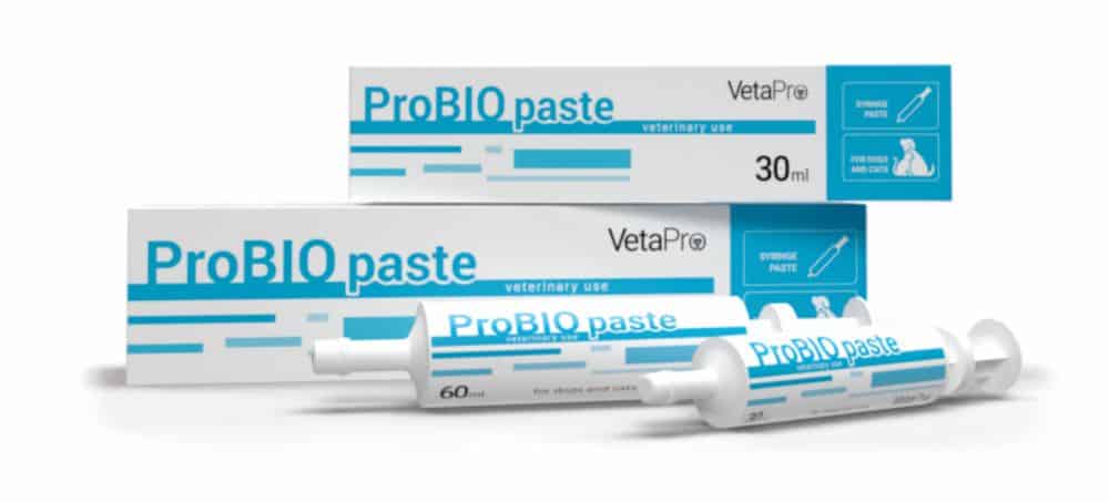 26. ProBio Paste 30ml 60ml VetPro ProBio Paste žarnyno mikroflorai