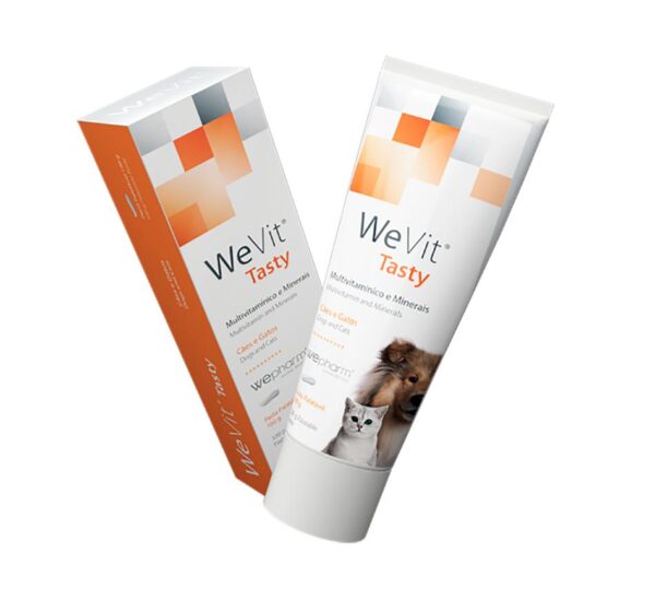Wepharm WeVit Tasty imunitetui 100gr.