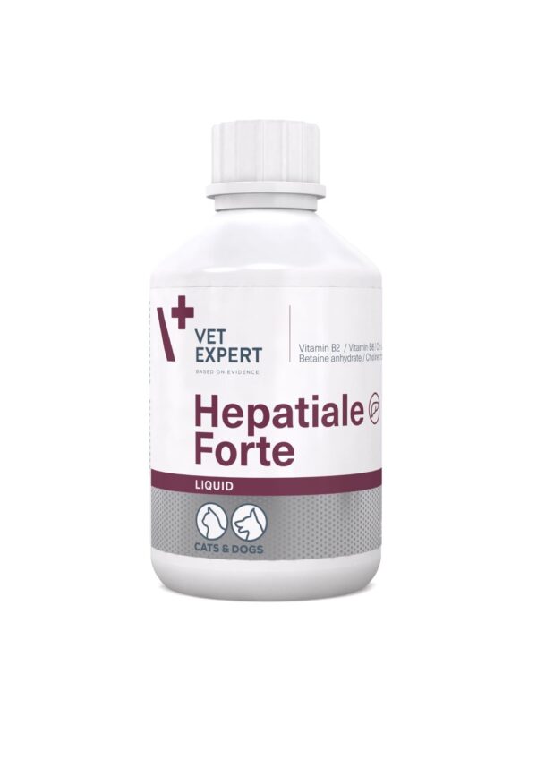 VetExpert Hepatiale Forte Liquid šunims ir katėms kepenų veiklai 250ml