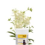 DOGOTEKA DOGOdol nervų sistemai, skausmui malšinti 45tab.