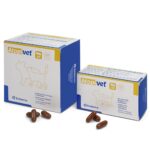 Atopivet odai ir kailiui