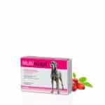 DOGOTEKA MultiAdapt imuninei sistemai 60tabl.