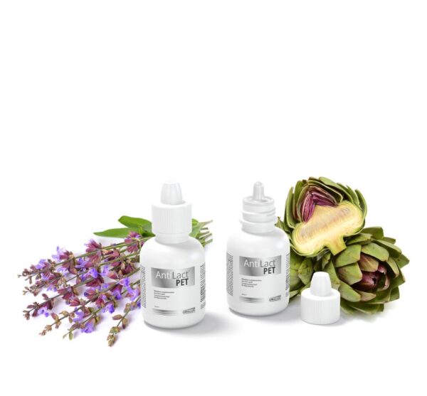 DOGOTEKA AntiLact Pet laktacijai, pseudonėštumui 50ml