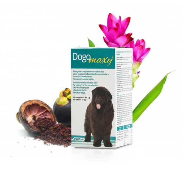 DOGOTEKA DOGOmaxy sąnarių veiklai 60tab.