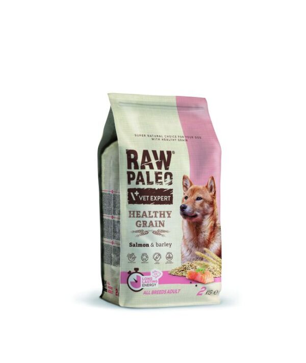 Raw Paleo Healthy Grain Adult sausas maistas šunims su lašiša