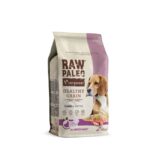 Raw Paleo Healthy Grain Adult sausas maistas šunims su ėriena