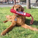 KONG lazda su virve SIGNATURE STICK M