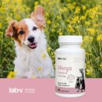 Lab-V Allerga Control alergiškiems 45kaps.