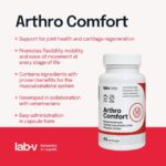 Lab-V Arthro Comfort sąnarių veiklai