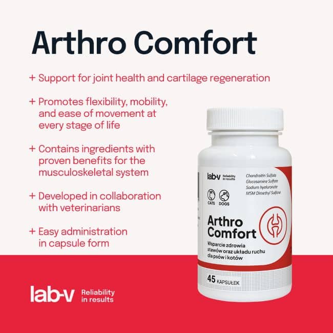 Lab-V Arthro Comfort sąnarių veiklai