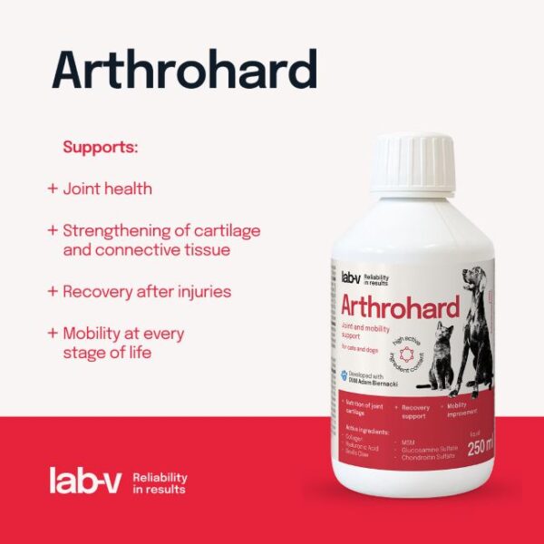 Lab-V Arthrohard sąnarių veiklai