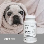 Lab-V Geriato Optimum sąnariams 45kaps.
