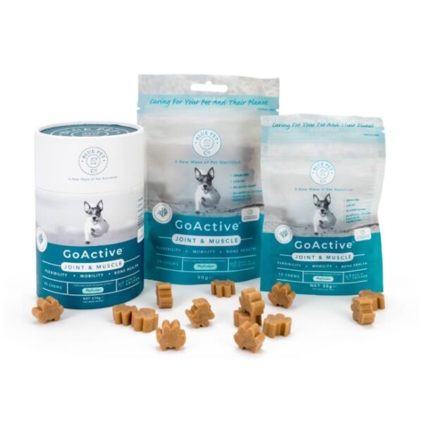 GoActive Chicken sąnariams ir raumenims kramtukai šunims