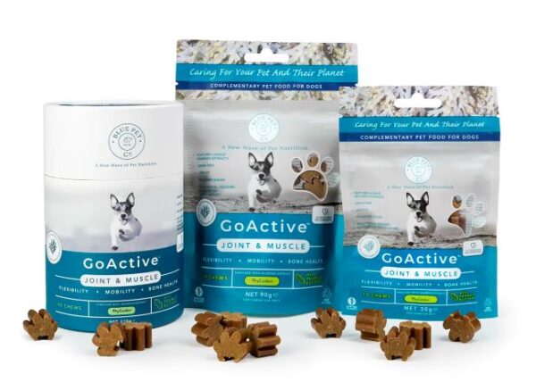 GoActive Peanut Butter sąnariams ir raumenims šunims
