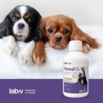 Lab-v Hepasil Dog and Cat kepenų veiklai 250 ml