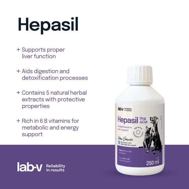Lab-v Hepasil Dog and Cat kepenų veiklai 250 ml
