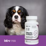Lab-V Hepato Protect kepenų veiklai 45kaps.