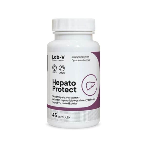 Lab-V Hepato Protect kepenų veiklai 45kaps.