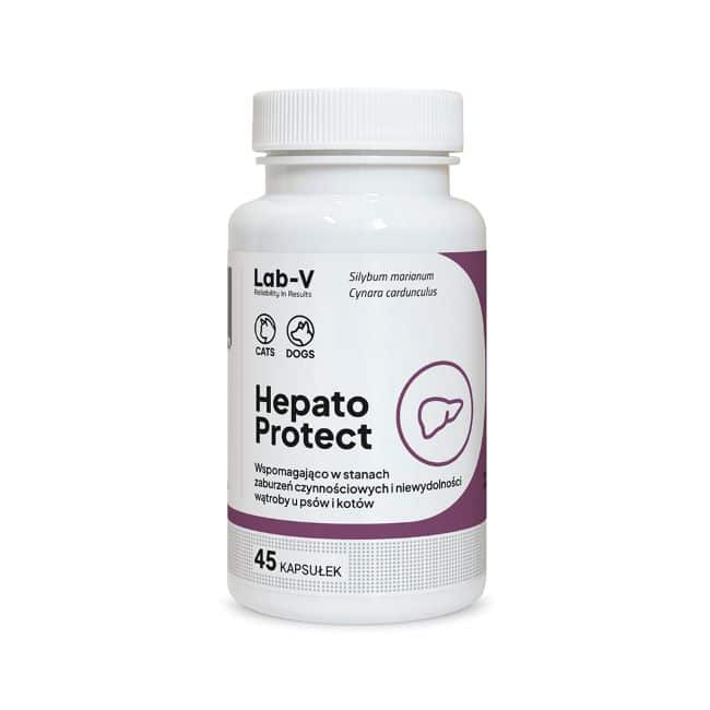 Lab-V Hepato Protect kepenų veiklai 45kaps.