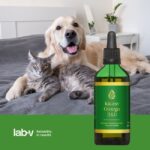 Lab-V Kwasy Omega 3-6 100ml