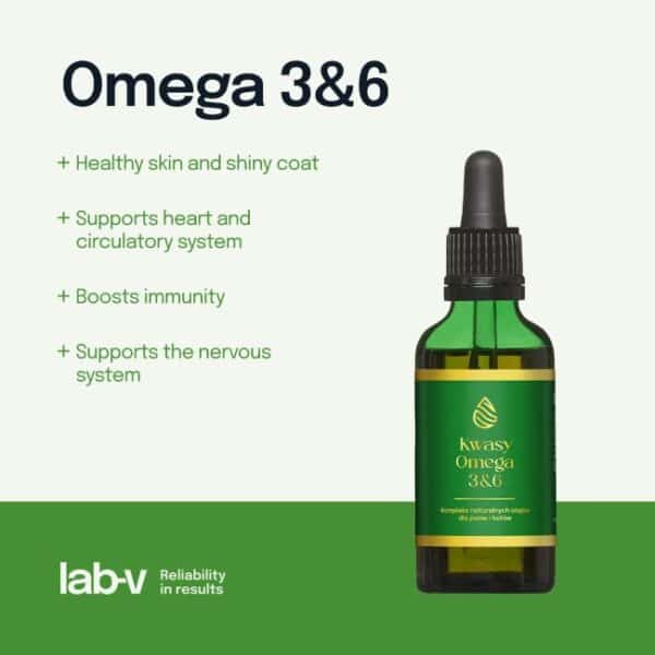 Lab-V Kwasy Omega 3-6 100ml