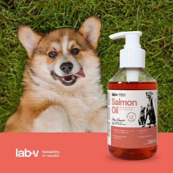 Lab V Salmon oil lašišų aliejus
