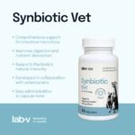 Lab-V Synbiotic Vet žarnyno veiklai 45kaps.