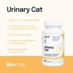Lab-V Urinary cat šlapimo sistemai 45 kaps.