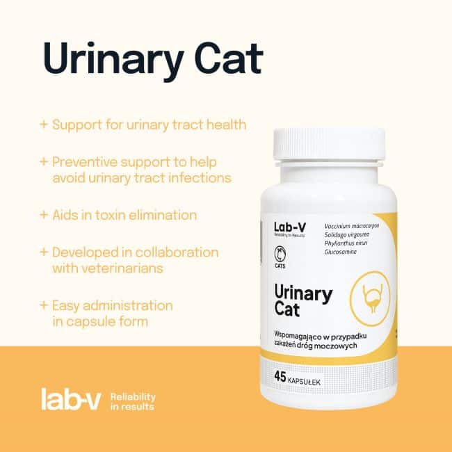 Lab-V Urinary cat šlapimo sistemai 45 kaps.