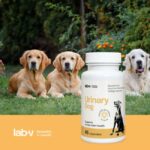 Lab-V Urinary dog šlapimo veiklai 45kaps.