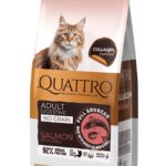 QUATTRO Collagen Digestive Salmon maistas jautrioms katėms su lašiša ir kriliu