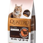 QUATTRO Collagen Kitten Chicken maistas kačiukams su vištiena