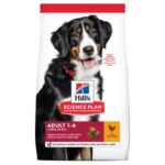 Hill’s SP Canine Adult Large Breed Chicken  didelių veislių šunims su vištiena 14kg