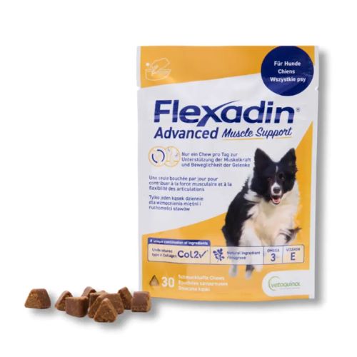 Vetoquinol Flexadin Advanced Muscle support papildai šunims sąnarių veiklai N30 Vetoquinol Flexadin Advanced Muscle support papildai šunims sąnarių veiklai N30 - Image 1